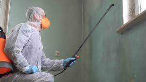 Best Basement Mold Removal  in Happy Valley, OR