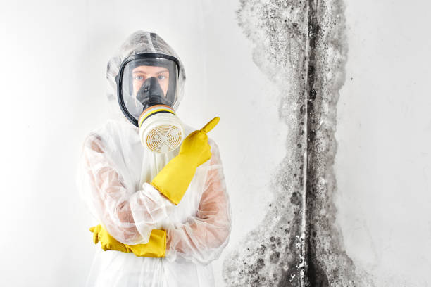 Best Mold Odor Removal Services  in Happy Valley, OR