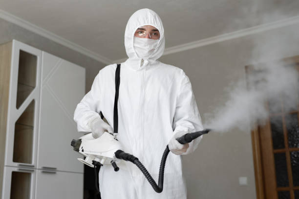 Why You Should Choose Our Mold Remediation Services in Happy Valley, OR